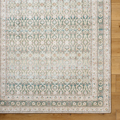 Rainier PNWRN-2304 Olive Area Rug