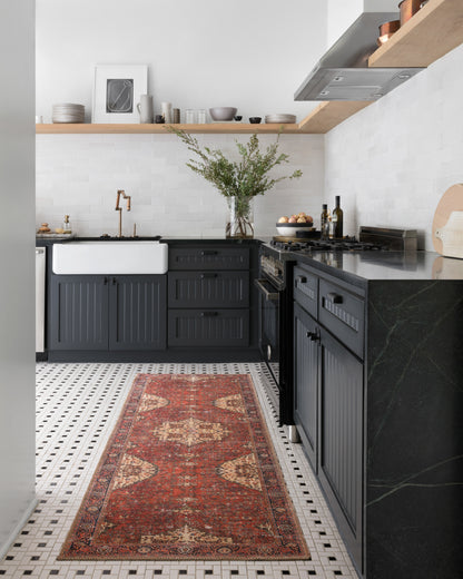 Loloi Loren LQ-07 Red / Navy Area Rug