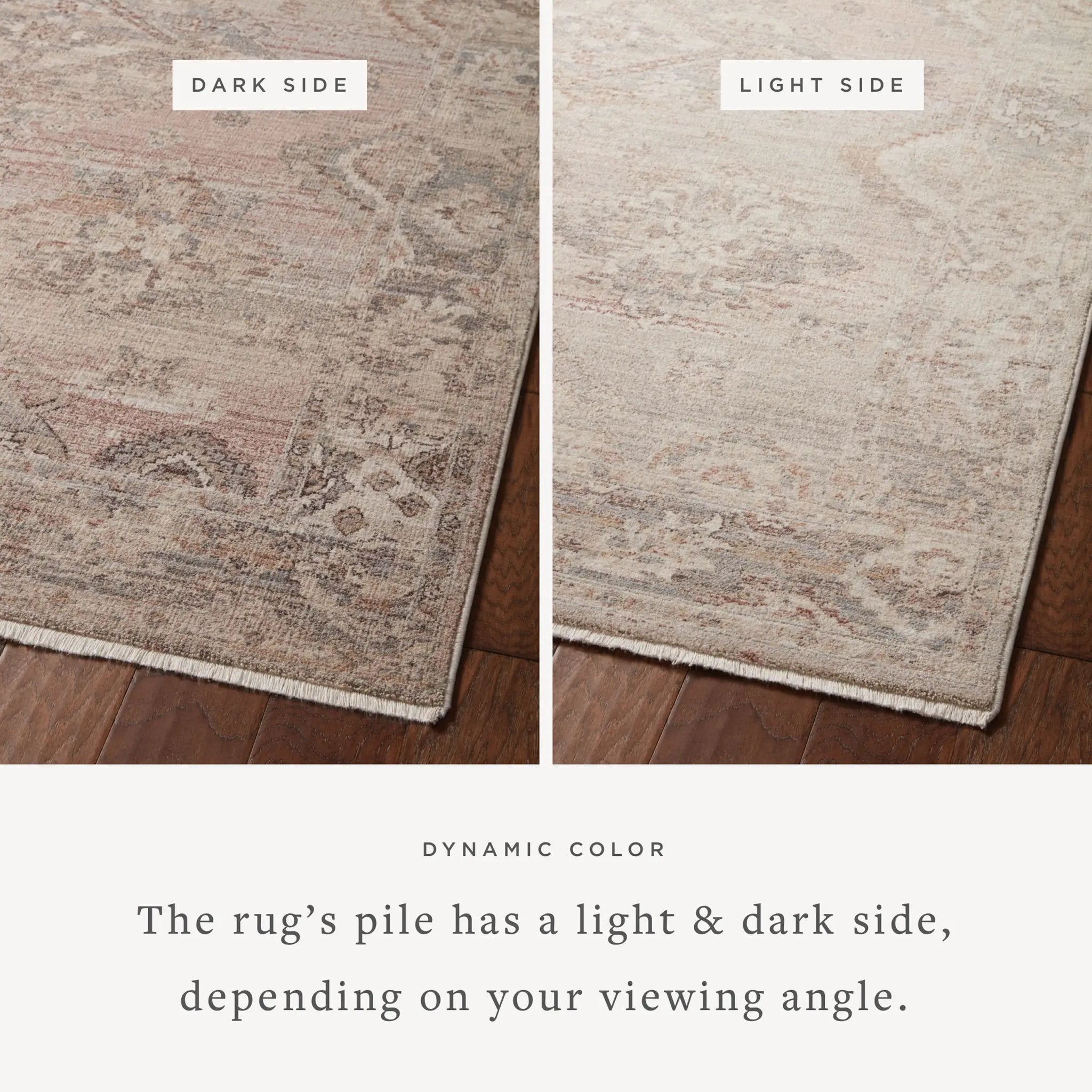 Lyra LYR-01 Blush / Dove Area Rug by Loloi