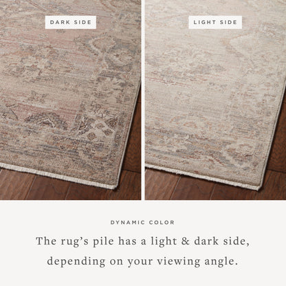 Loloi Lyra LYR-01 Blush / Dove Area Rug