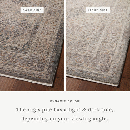 Loloi Lyra LYR-02 Denim / Pebble Area Rug