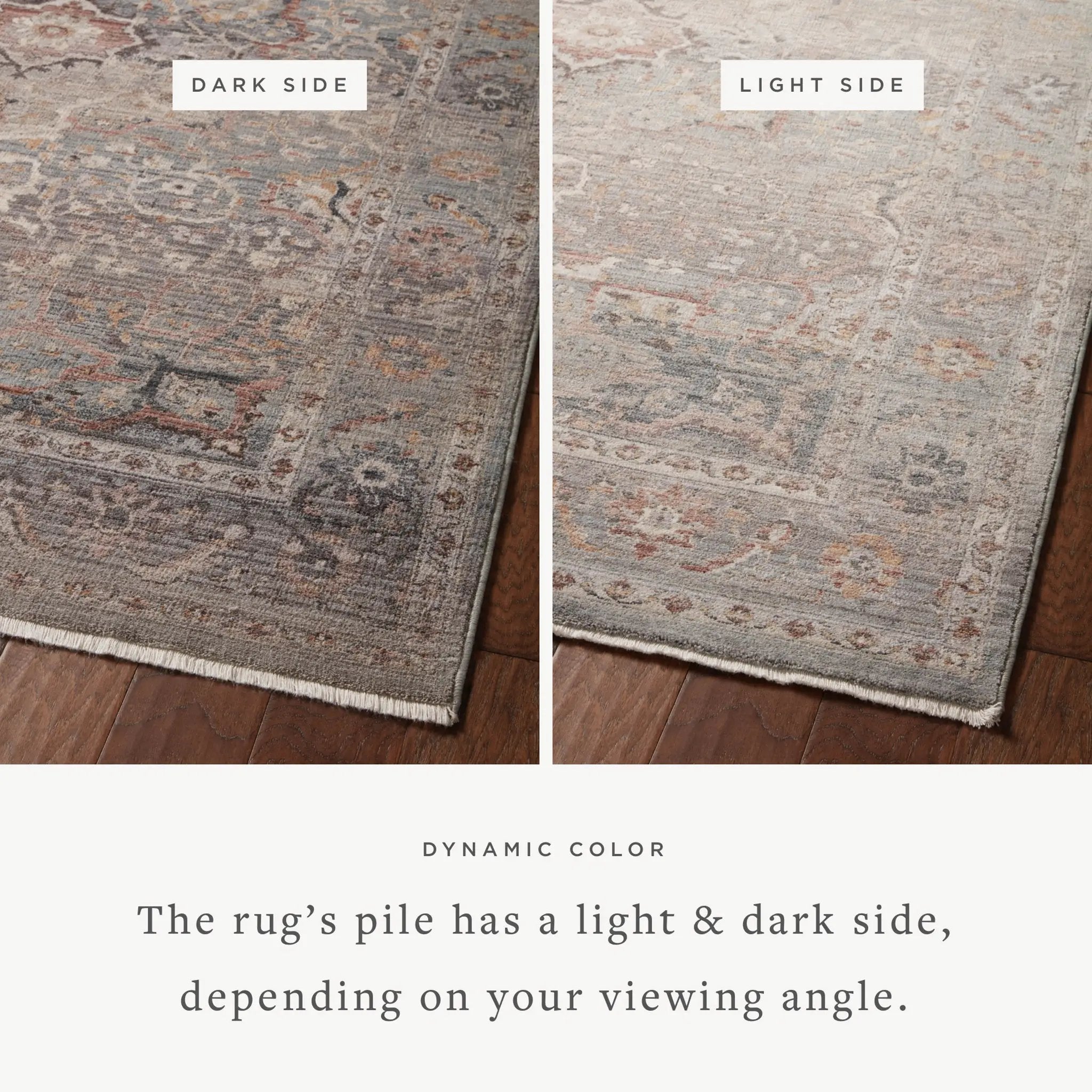 Lyra LYR-03 Sky / Multi Area Rug by Loloi