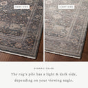 Loloi Lyra LYR-04 Ink / Multi Area Rug