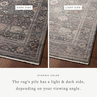 Loloi Lyra LYR-04 Ink / Multi Area Rug
