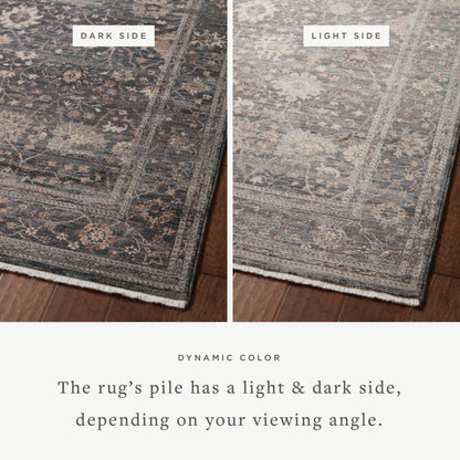 Loloi Lyra LYR-04 Ink / Multi Area Rug