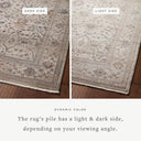 Loloi Lyra LYR-04 Pebble / Multi Area Rug
