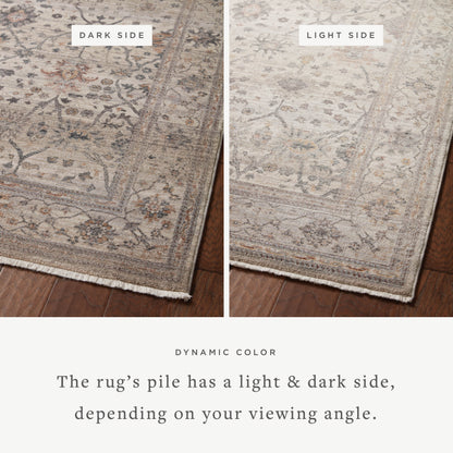 Loloi Lyra LYR-04 Pebble / Multi Area Rug
