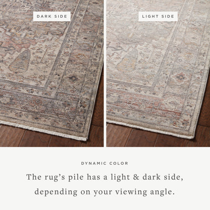 Loloi Lyra LYR-05 Sunset / Silver Area Rug