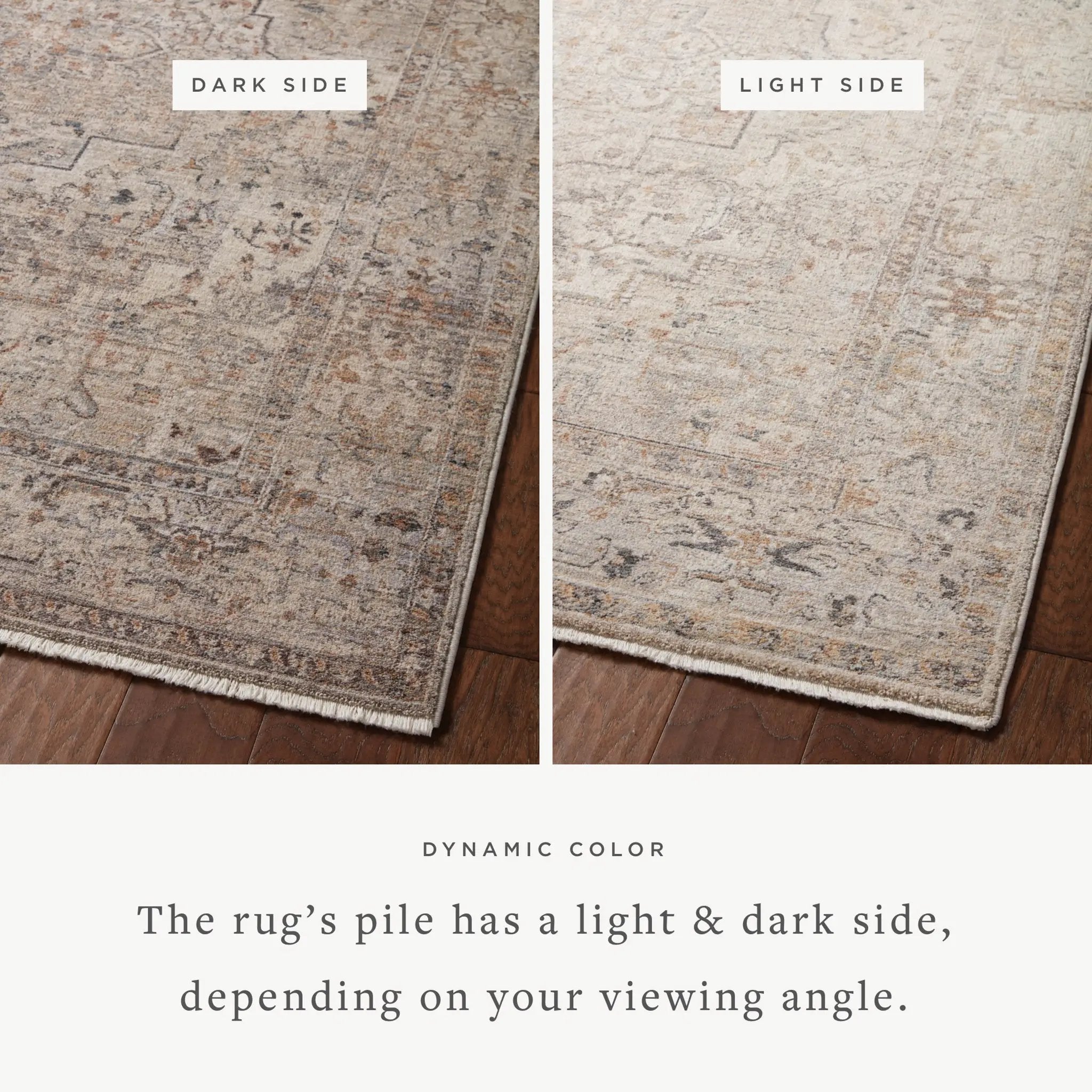 Lyra LYR-06 Natural / Gold Area Rug by Loloi