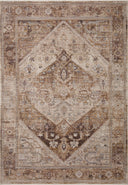 Loloi Lyra LYR-07 Natural / Mocha Area Rug