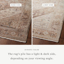 Loloi Lyra LYR-07 Natural / Mocha Area Rug