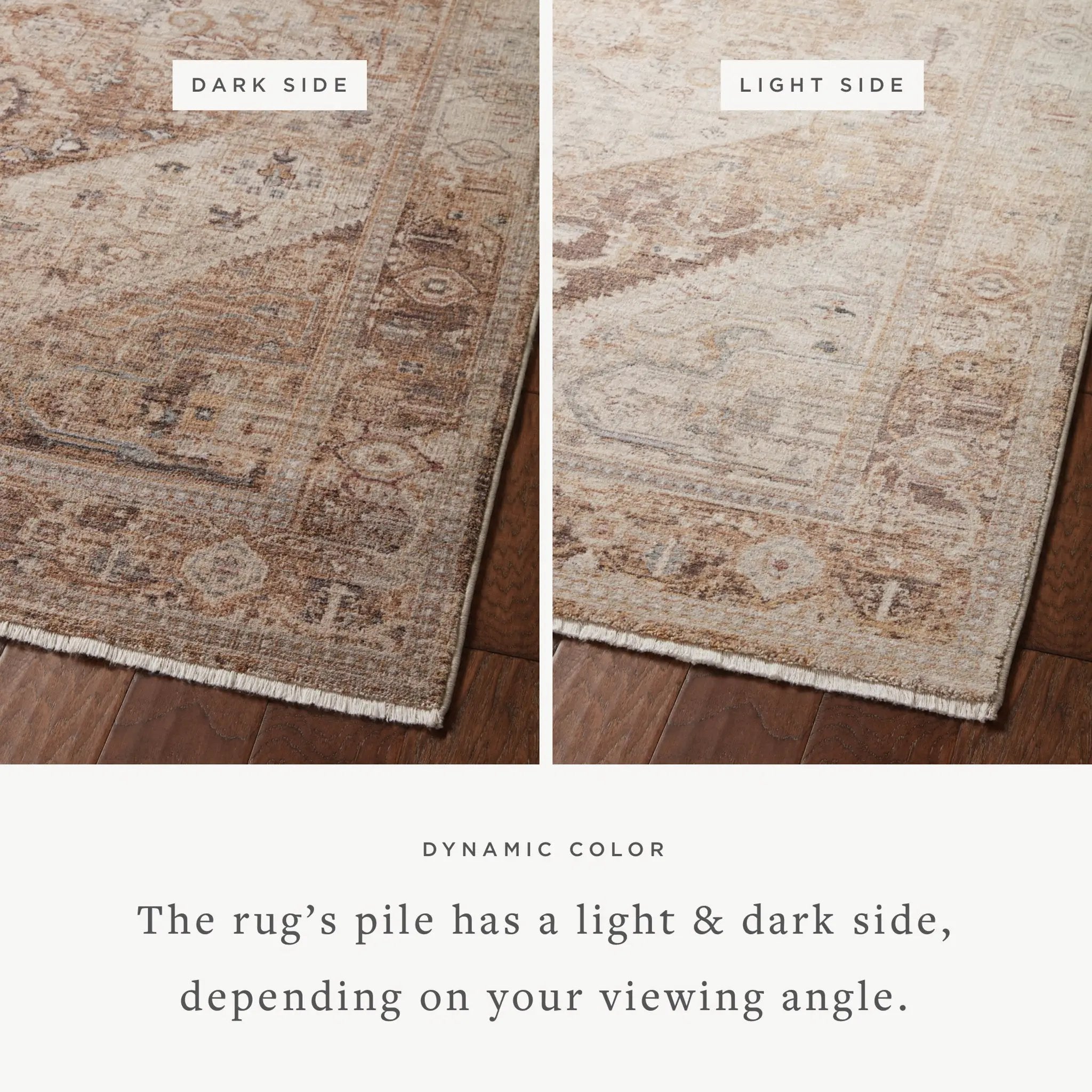 Lyra LYR-07 Natural / Mocha Area Rug by Loloi