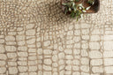Loloi Masai MAS-03 Neutral Area Rug
