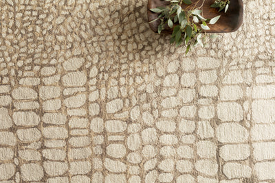 Loloi Masai MAS-03 Neutral Area Rug