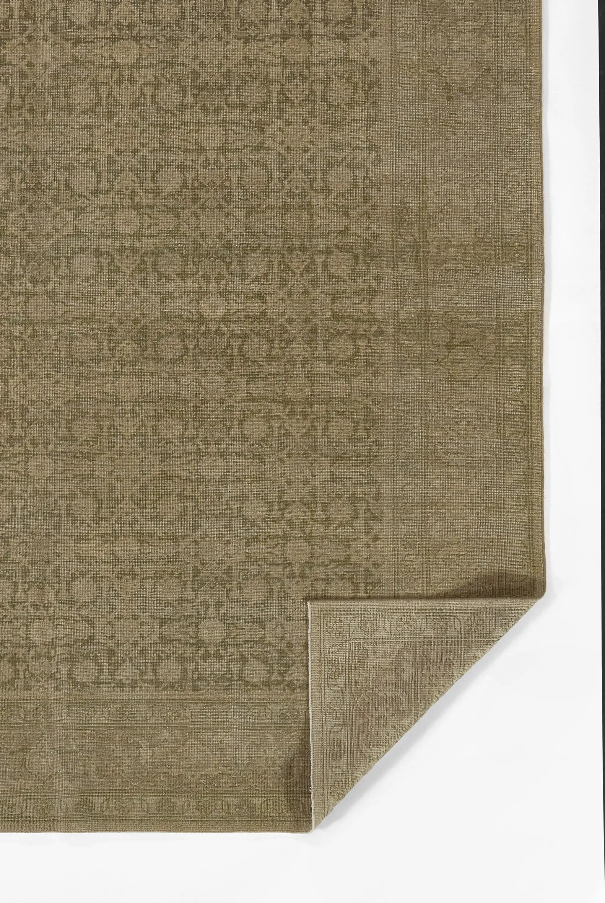Menorca MEN-1 (Bazzaar) Green Area Rug by Pure Salt by Momeni