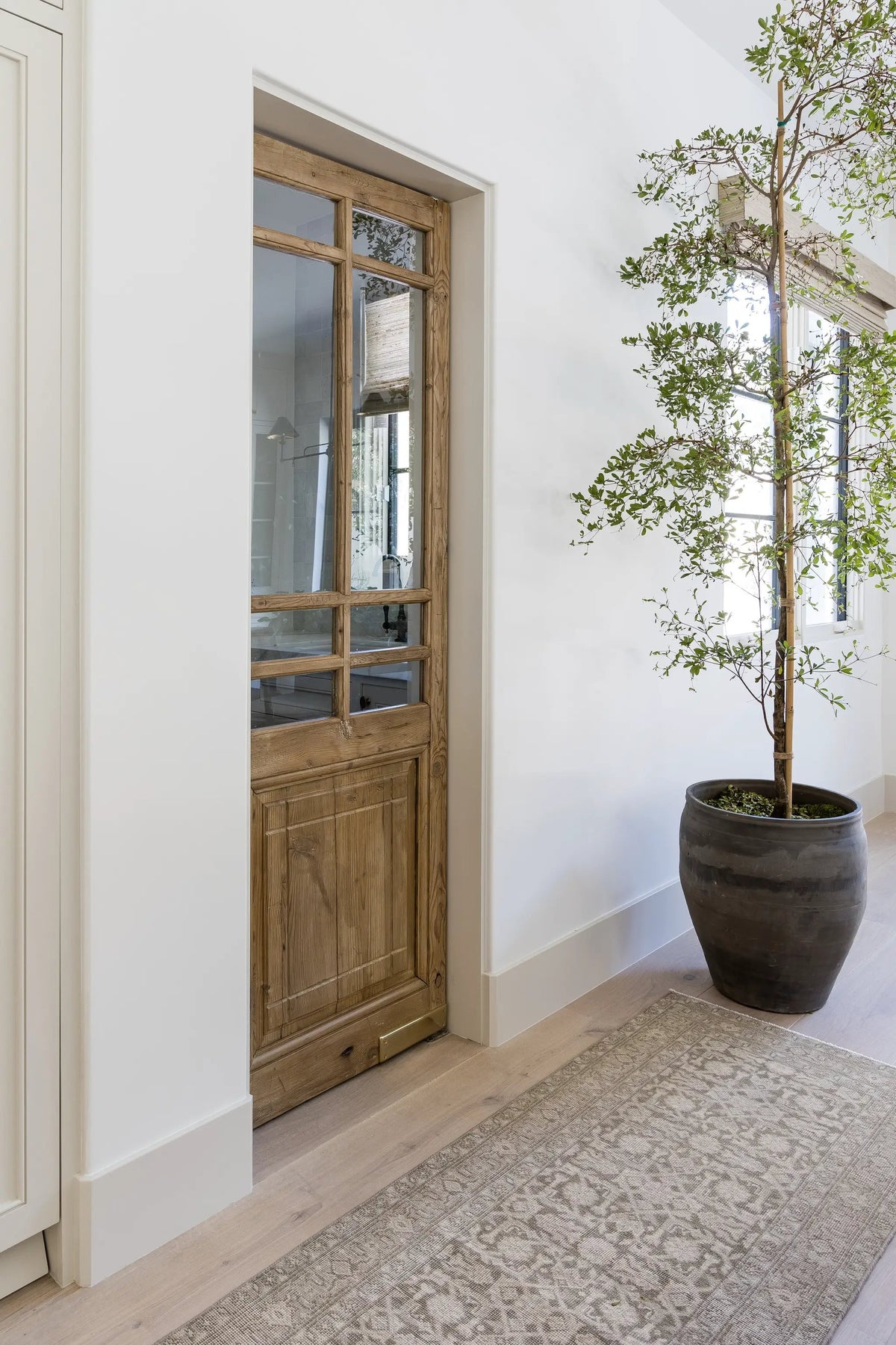 Menorca MEN-1 (Bazzaar) Green Area Rug by Pure Salt by Momeni