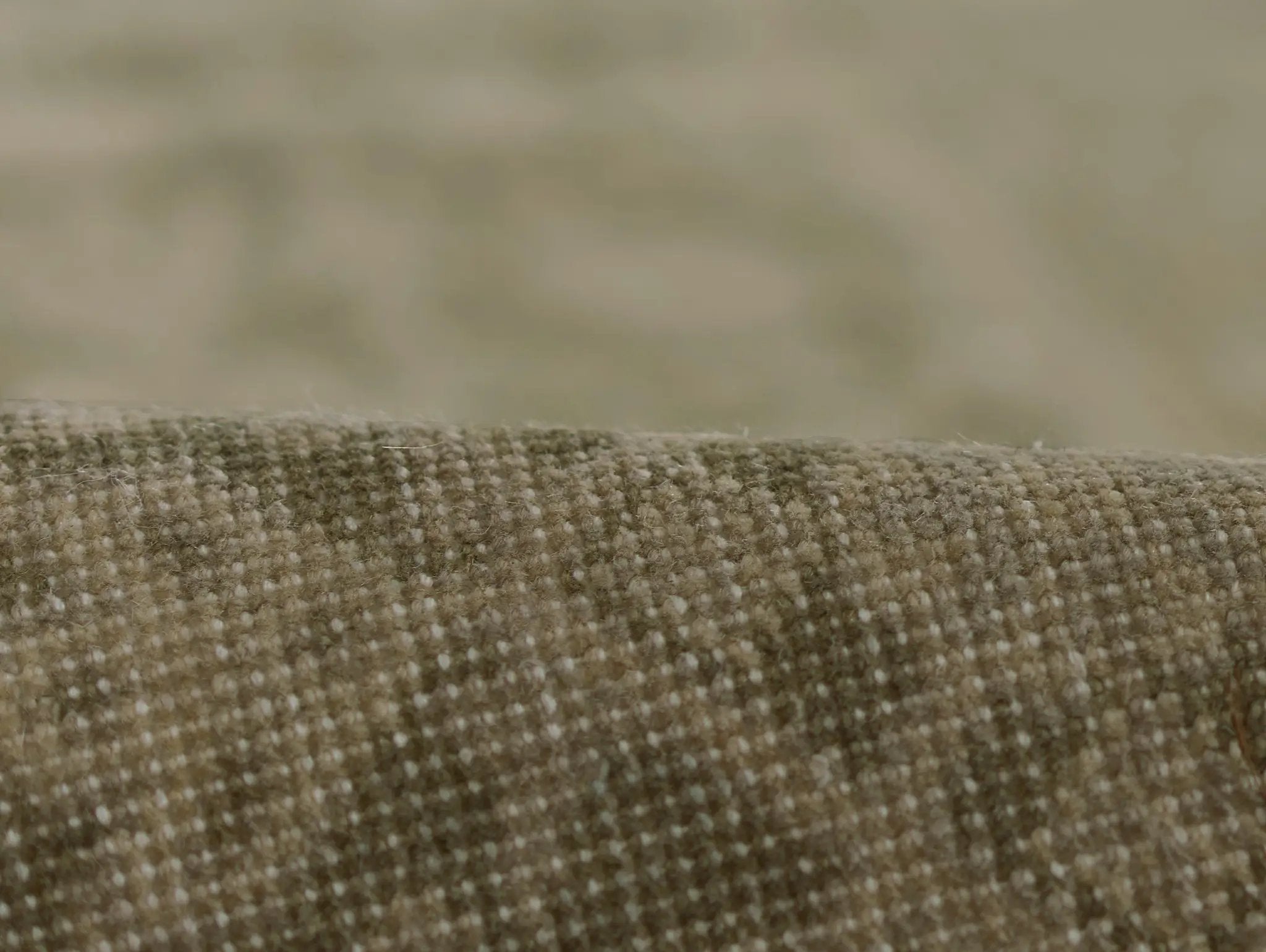 Menorca MEN-1 (Bazzaar) Green Area Rug by Pure Salt by Momeni