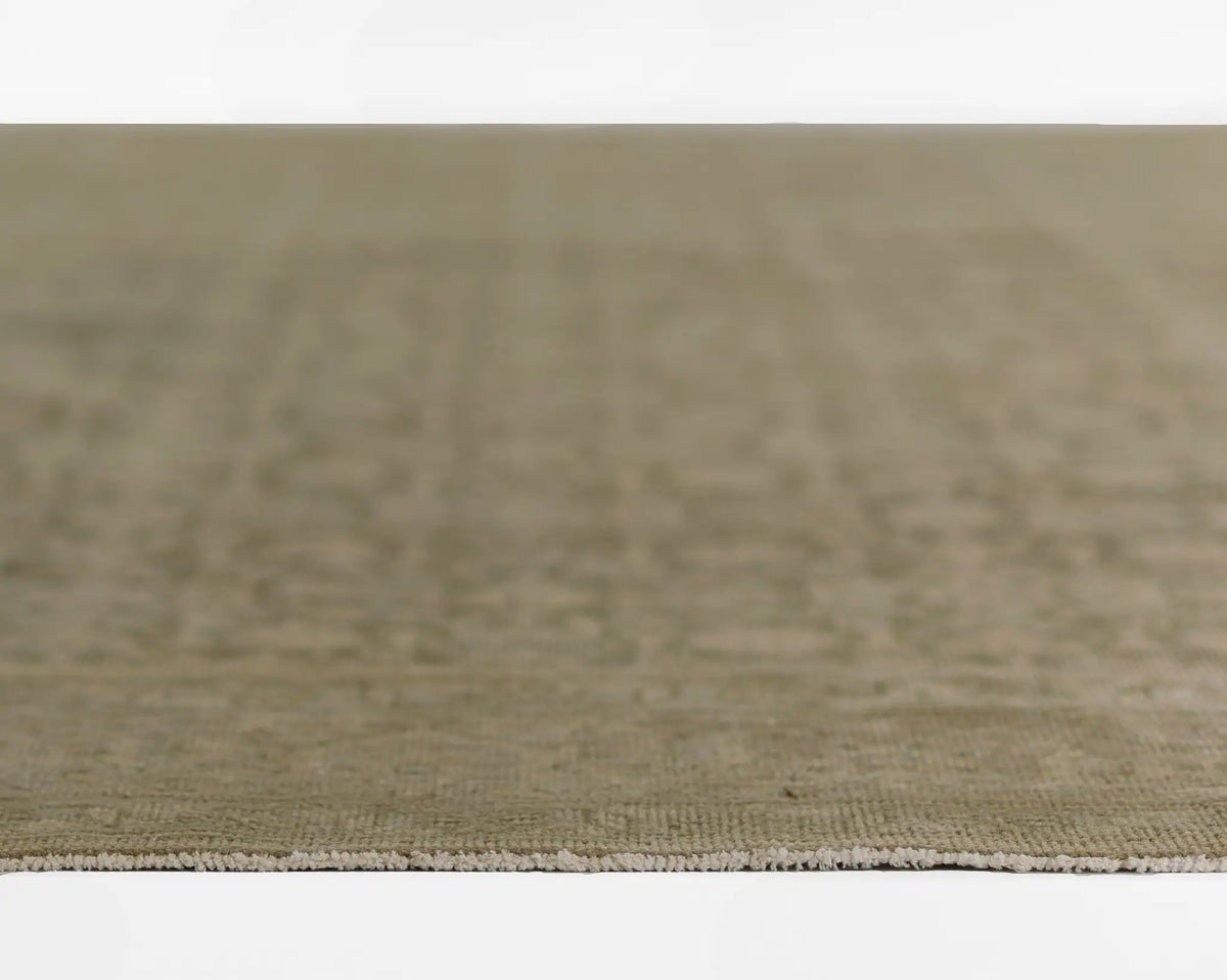 Menorca MEN-1 (Bazzaar) Green Area Rug by Pure Salt by Momeni