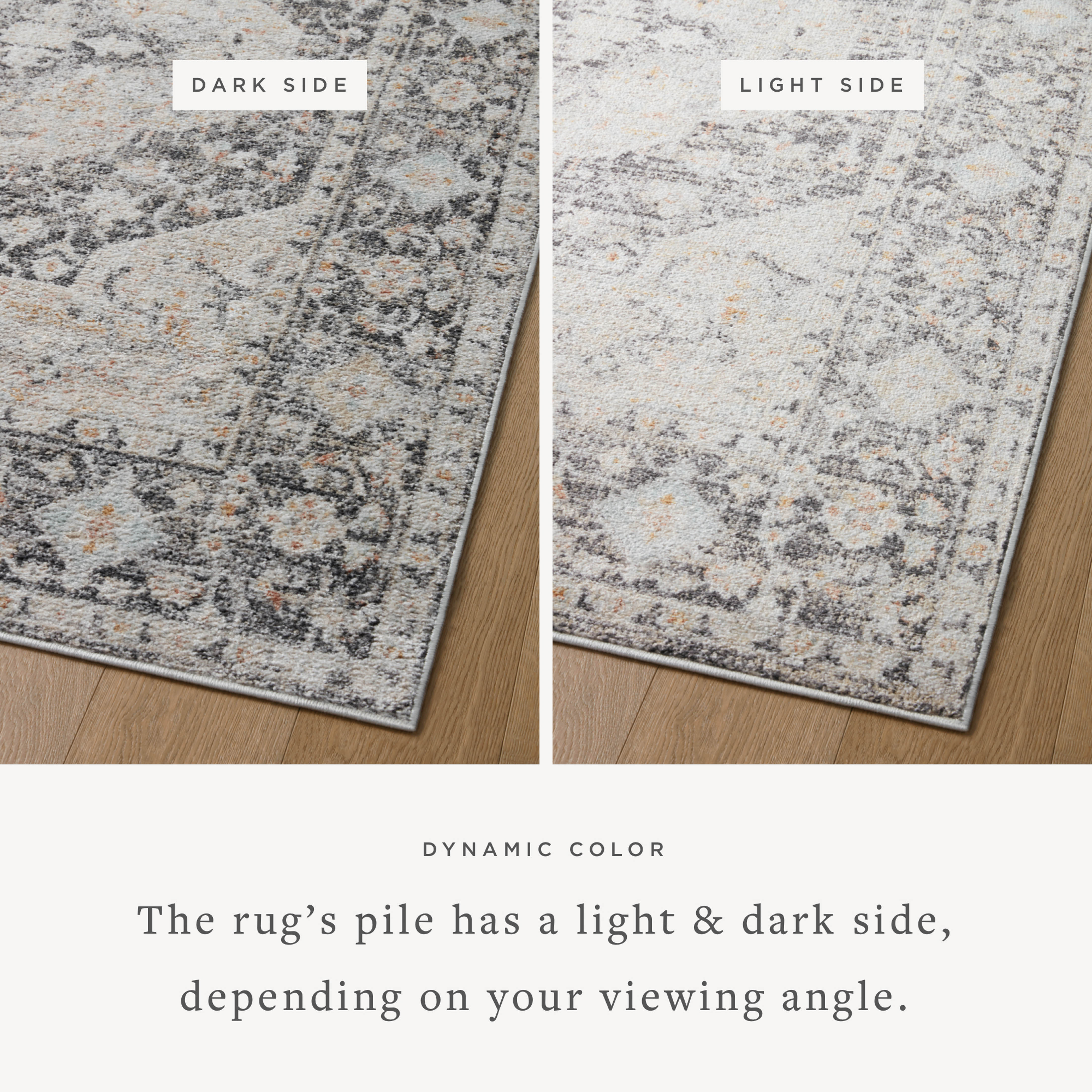 Loloi Monroe MON-01 Charcoal / Multi Area Rug