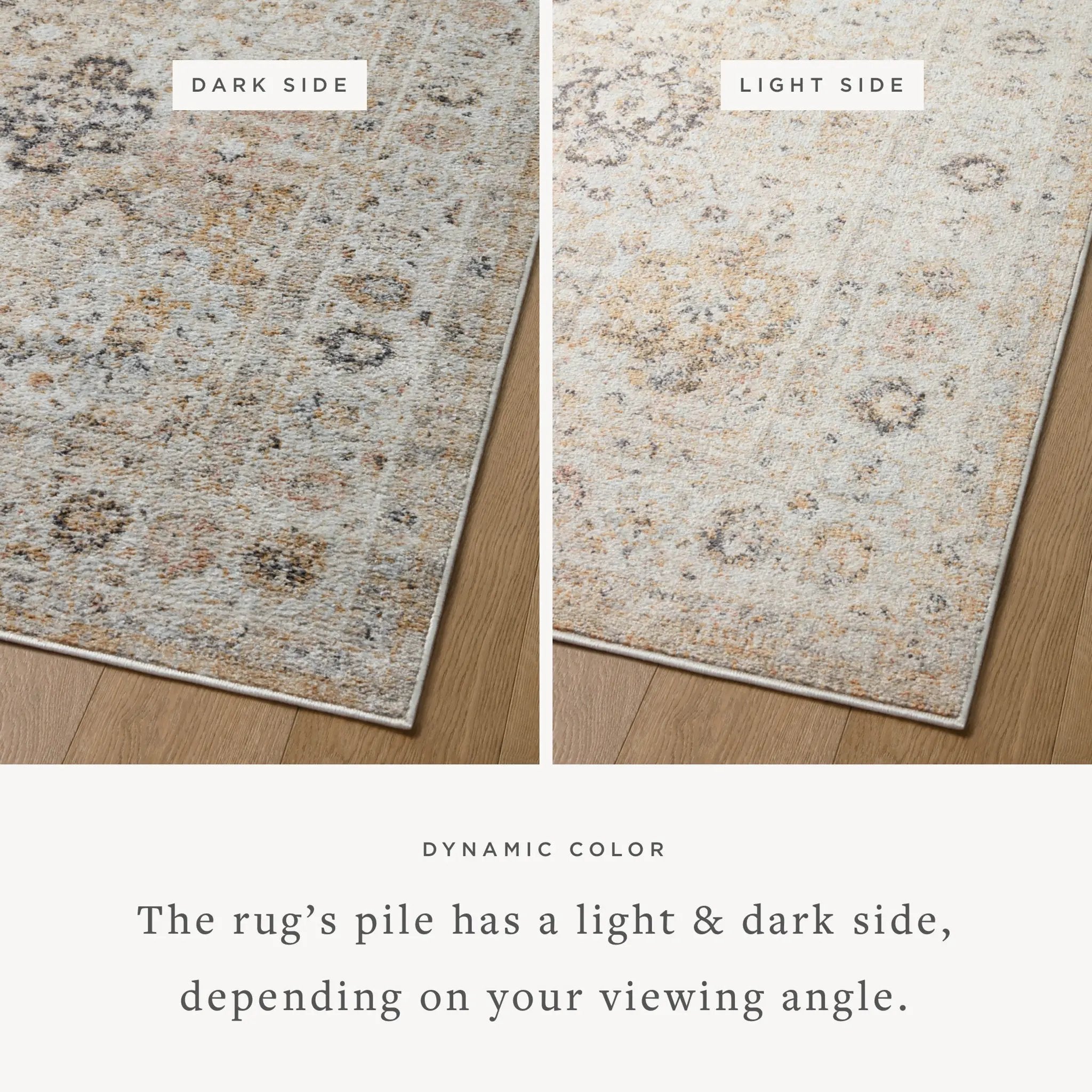 Monroe MON-02 Beige / Multi Area Rug by Loloi