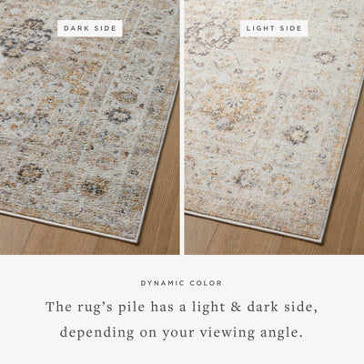 Loloi Monroe MON-02 Beige / Multi Area Rug