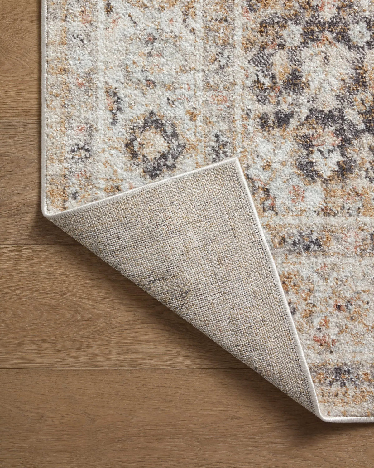 Monroe MON-02 Beige / Multi Area Rug by Loloi