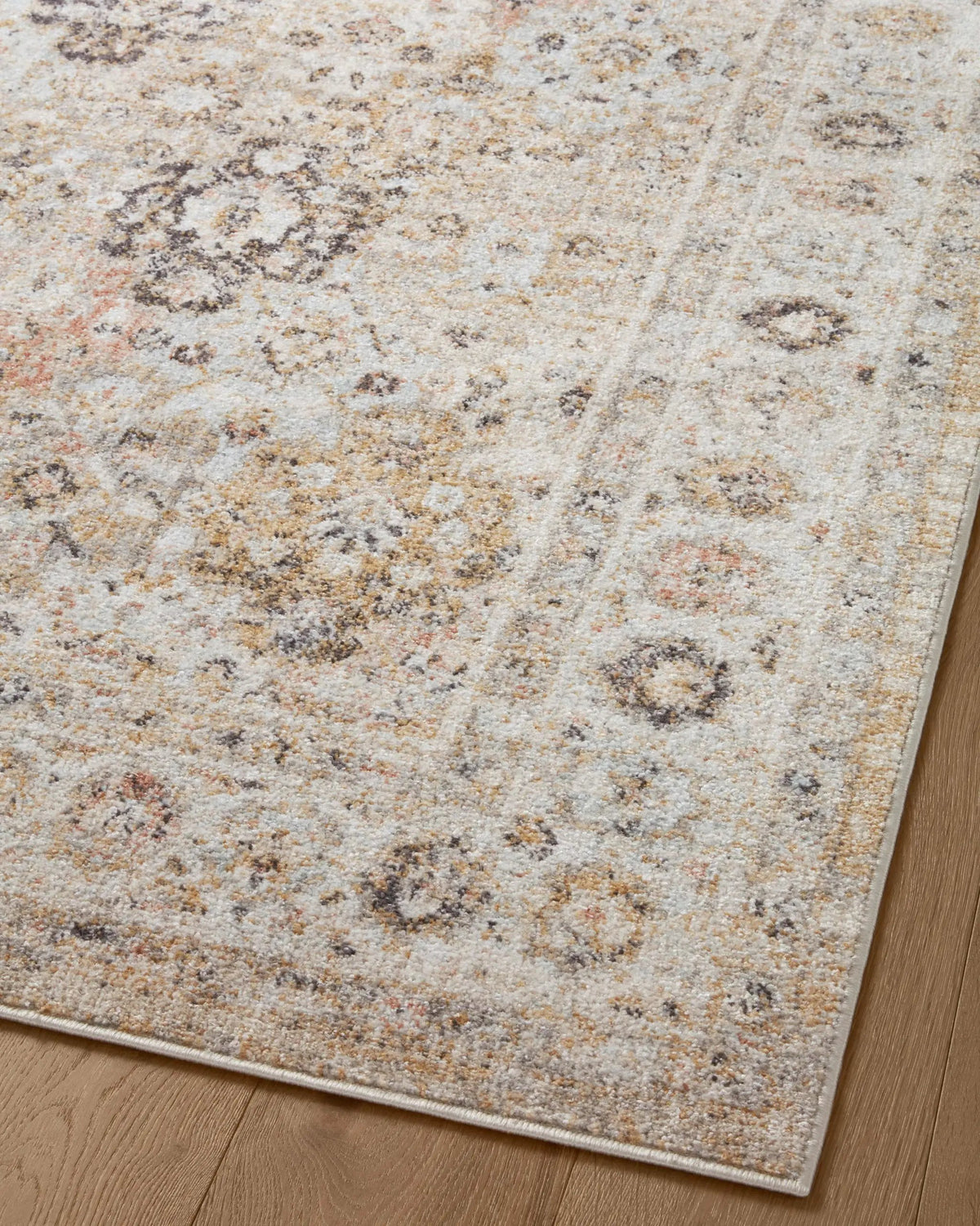 Monroe MON-02 Beige / Multi Area Rug by Loloi