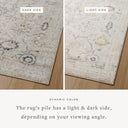 Loloi Monroe MON-04 Natural / Multi Area Rug