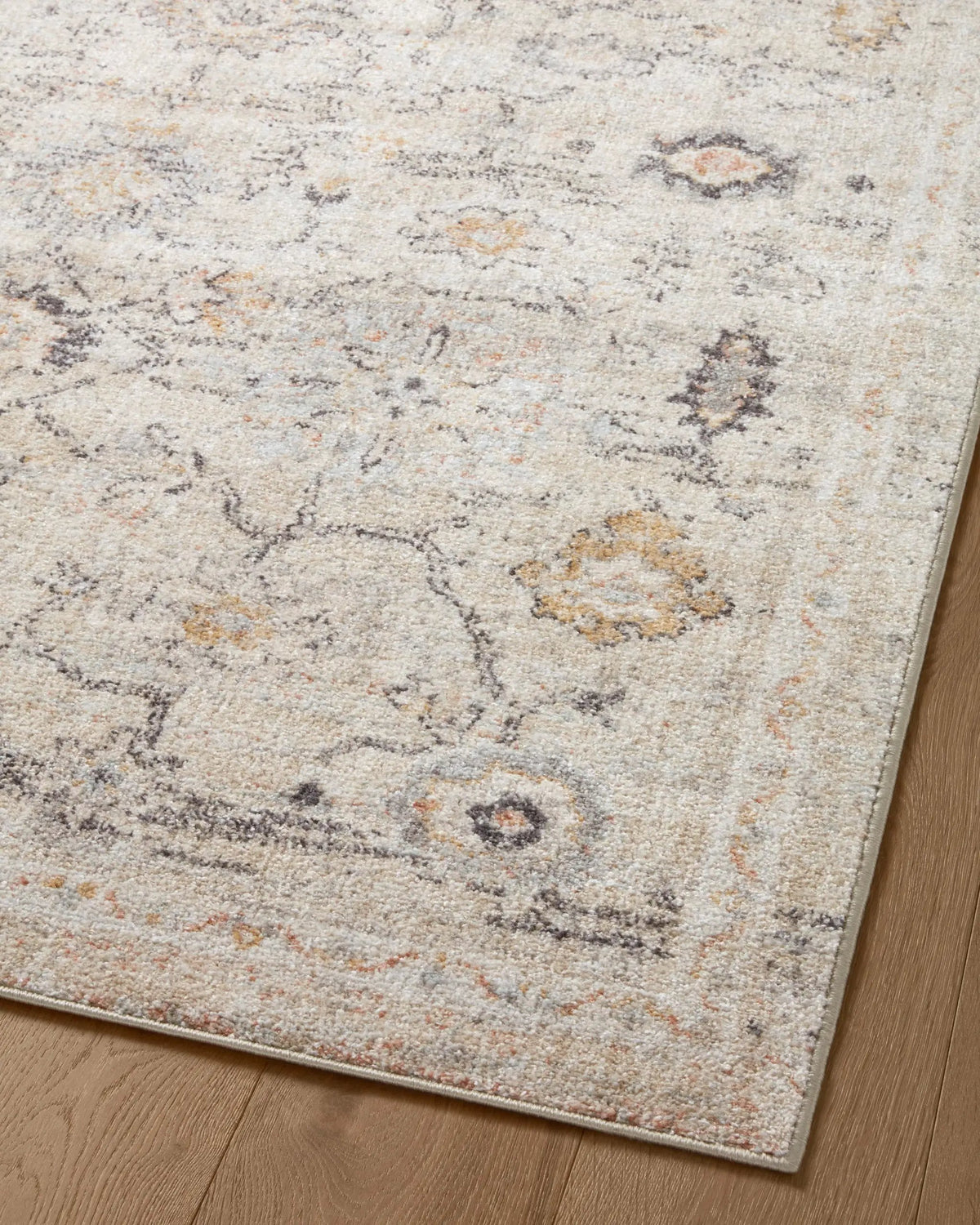 Monroe MON-04 Natural / Multi Area Rug by Loloi