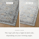 Loloi Monroe MON-04 Sky / Gold Area Rug