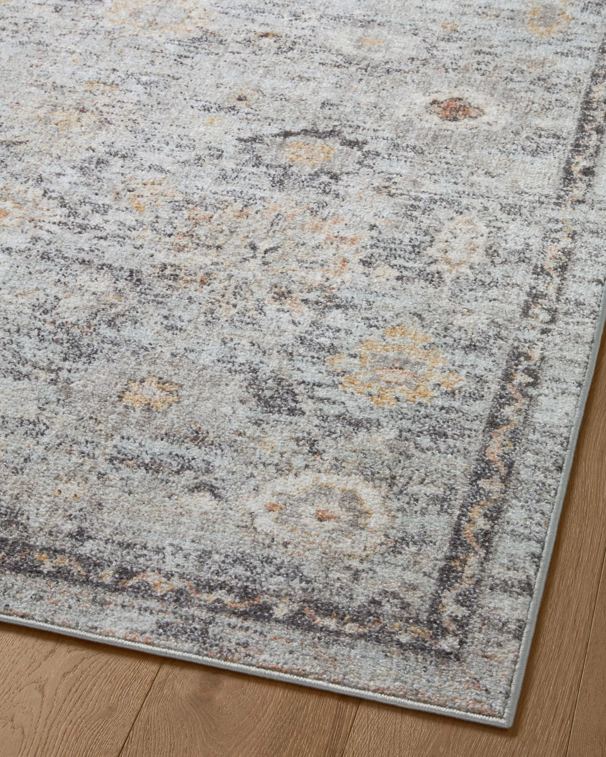Monroe MON-04 Sky / Gold Area Rug by Loloi