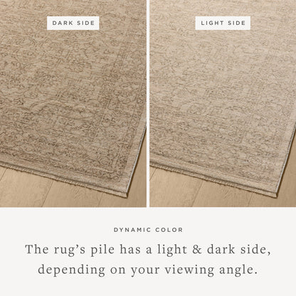 The Newman NEW-01 Taupe / Bone Area Rug transforms any space with versatile taupe and bone tones and vintage and distressed design in a power-loomed polyester area rug