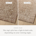 A power-loomed polyester area rug in grounded bark and warm natural tones with vintage and distressed motifs, the Newman NEW-02 Bark / Natural Area Rug grounds your room beautifully