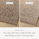 The Newman NEW-02 Dark Taupe / Natural Area Rug is a power-loomed polyester area rug that radiates dark taupe and warm natural charm and vintage and distressed elegance