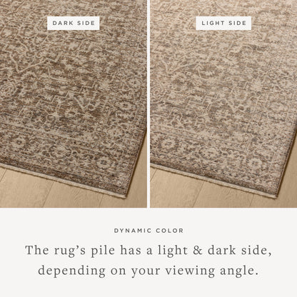 The Newman NEW-02 Dark Taupe / Natural Area Rug is a power-loomed polyester area rug that radiates dark taupe and warm natural charm and vintage and distressed elegance