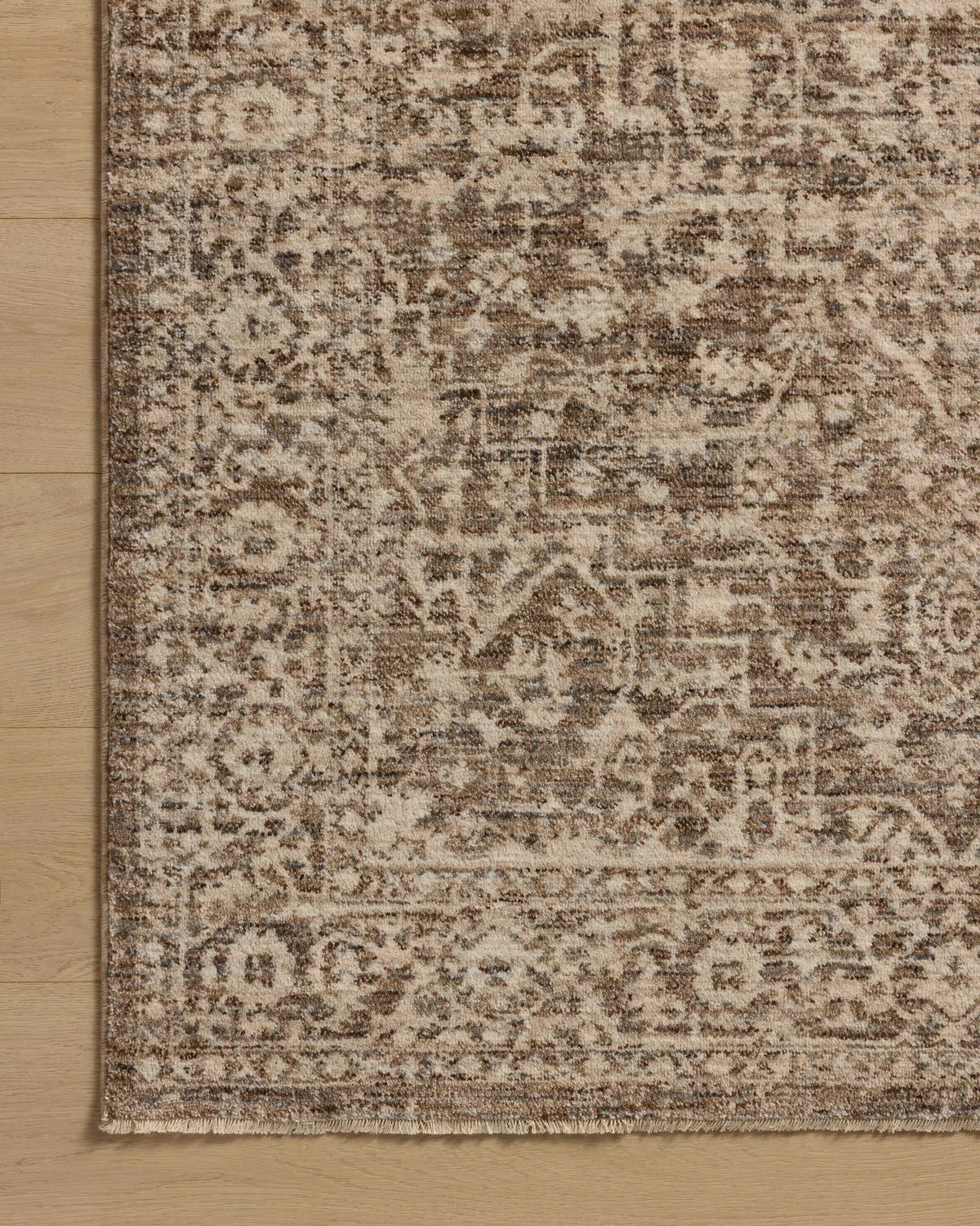 Newman NEW-02 Dark Taupe / Natural Area Rug by Loloi