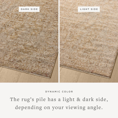 Layered in golden wheat and warm natural hues with vintage and distressed patterns, the Newman NEW-02 Wheat / Natural Area Rug is a power-loomed polyester area rug perfect for any setting