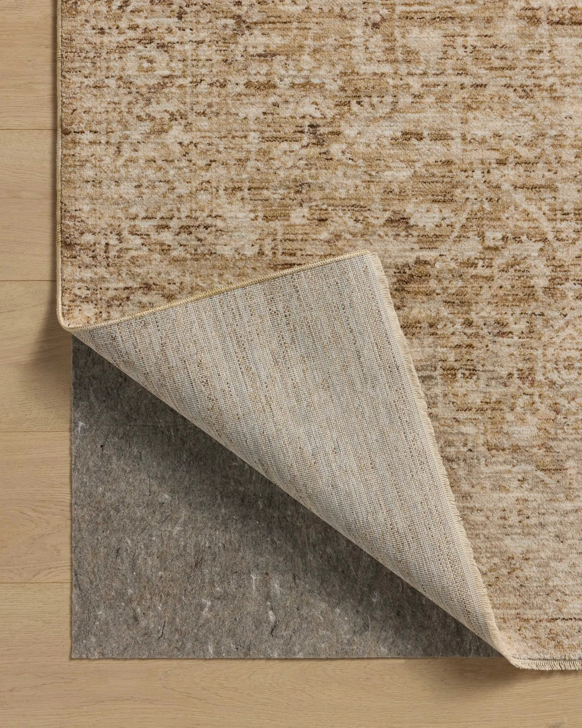 Newman NEW-02 Wheat / Natural Area Rug by Loloi