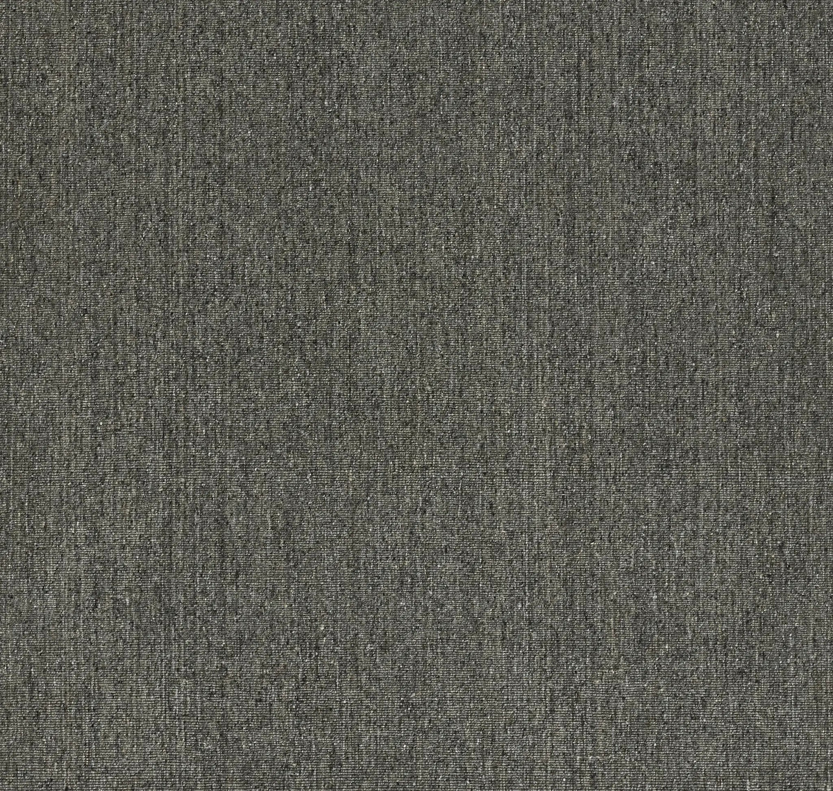 Oliver OLI-3 Charcoal Area Rug by Momeni