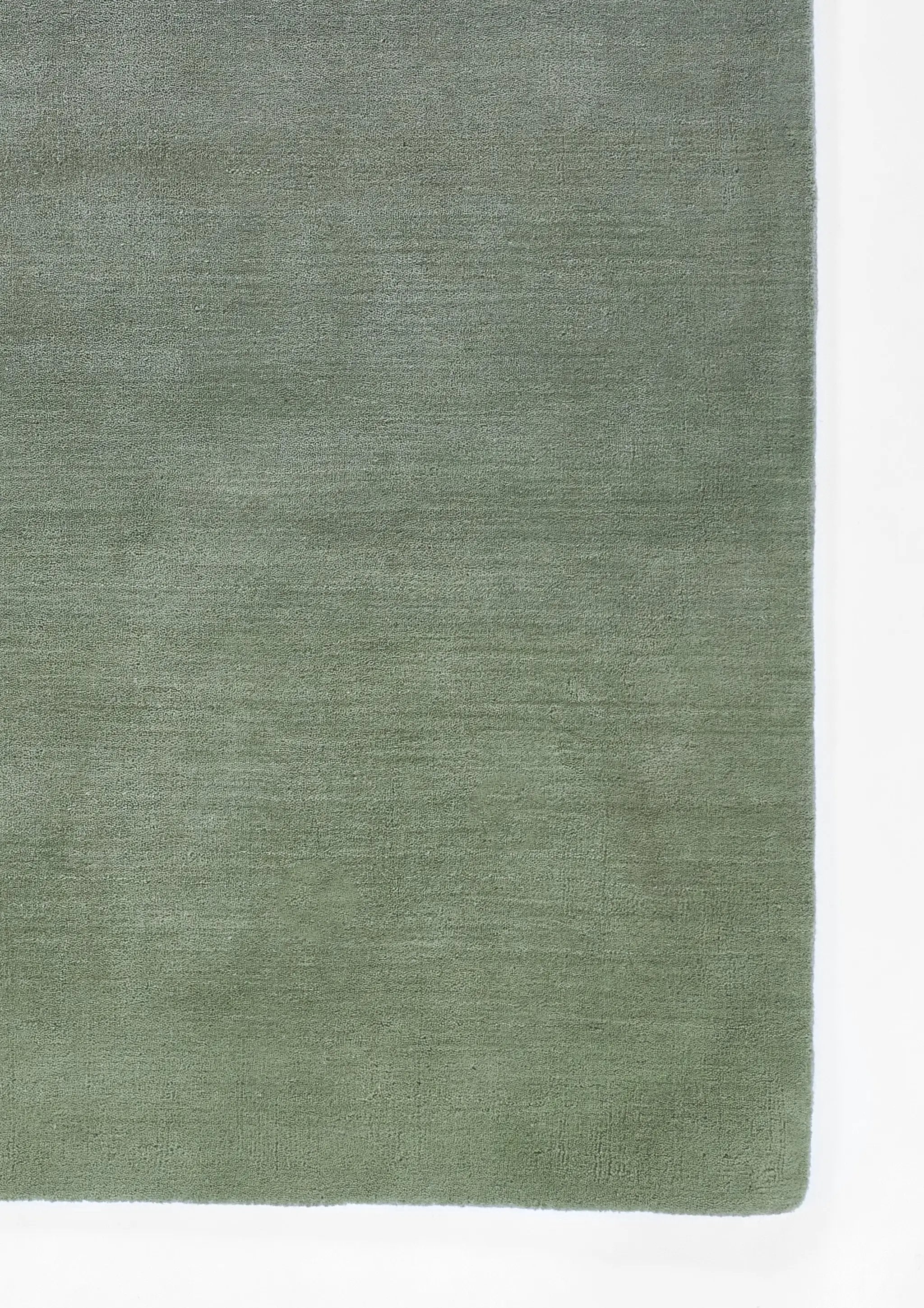 Ombre OMB-1 Green Area Rug by Momeni