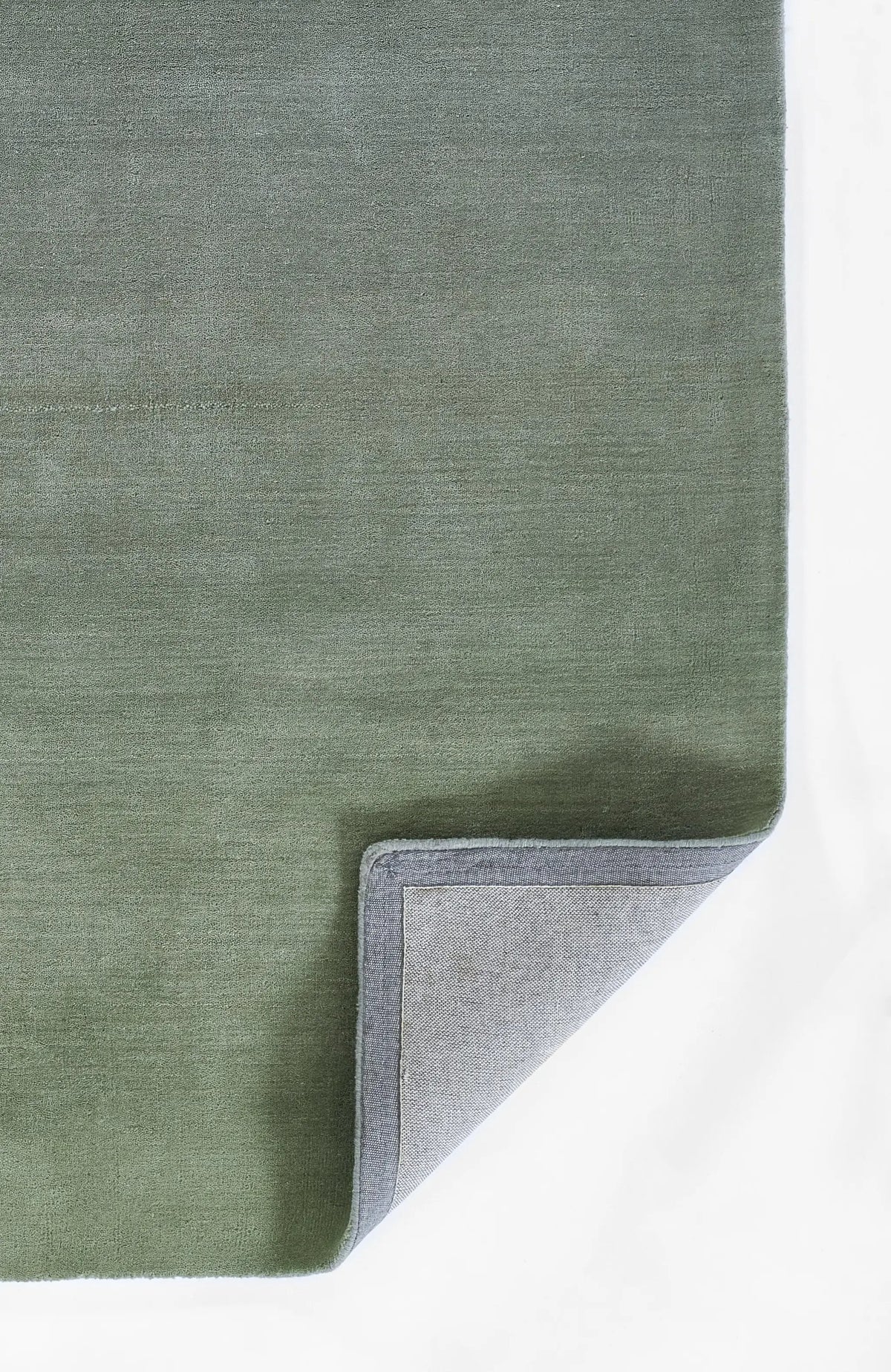 Ombre OMB-1 Green Area Rug by Momeni