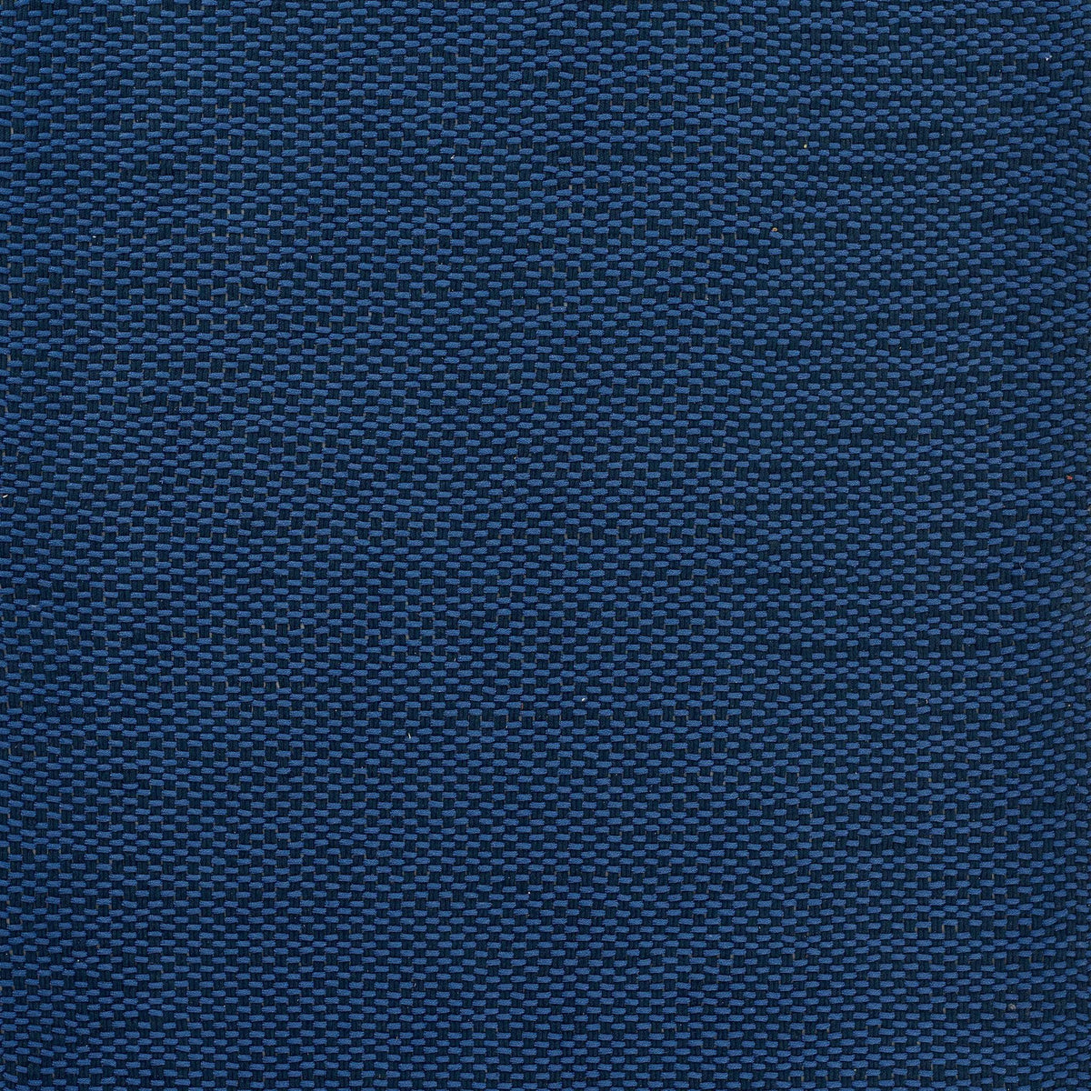 Paracord PCD-1 Blue Area Rug by Momeni