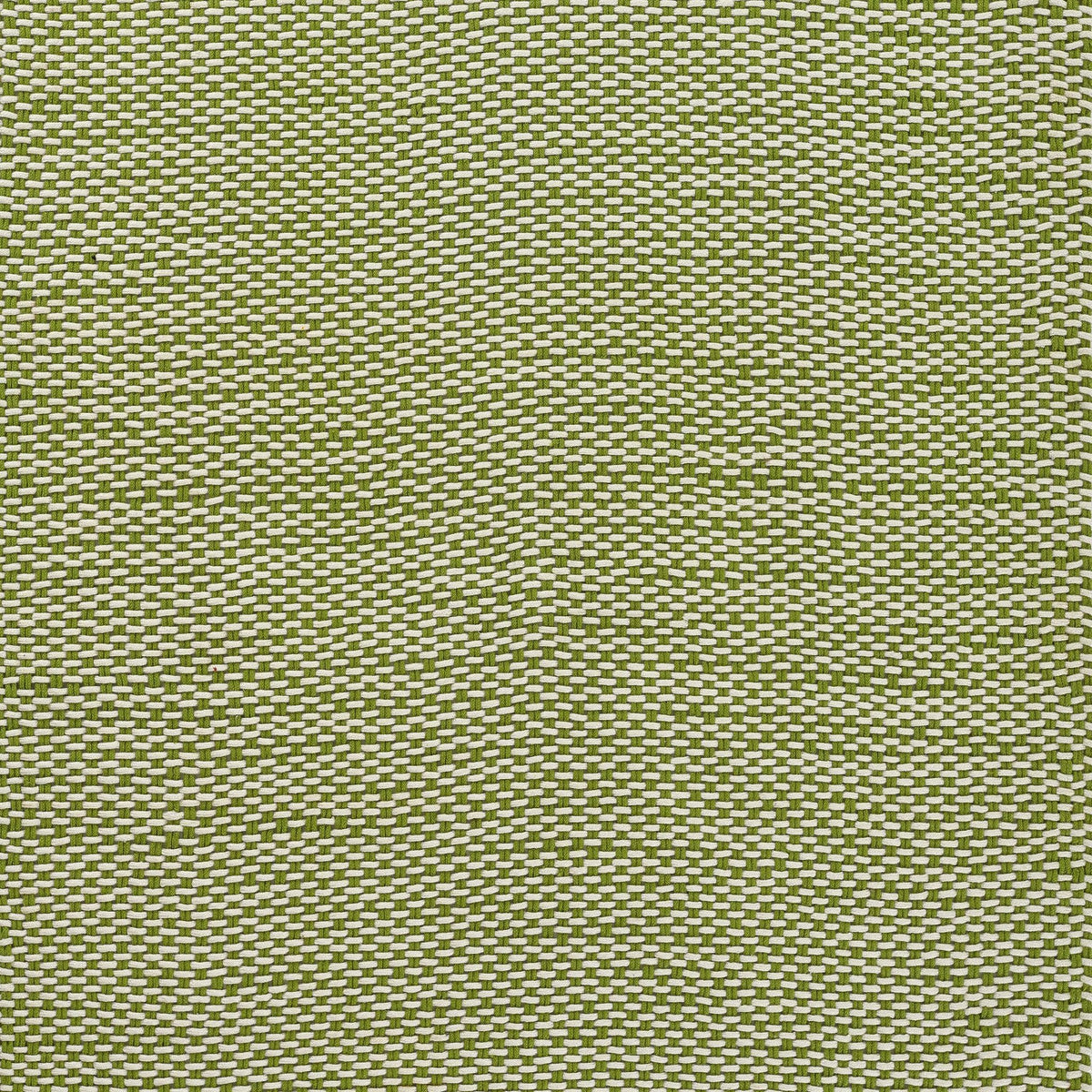 Paracord PCD-1 Green Area Rug by Momeni