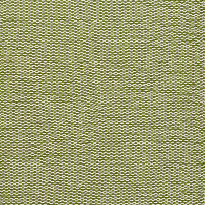 Momeni Paracord PCD-1 Green Hand Woven Area Rug