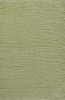 Momeni Paracord PCD-1 Green Hand Woven Area Rug