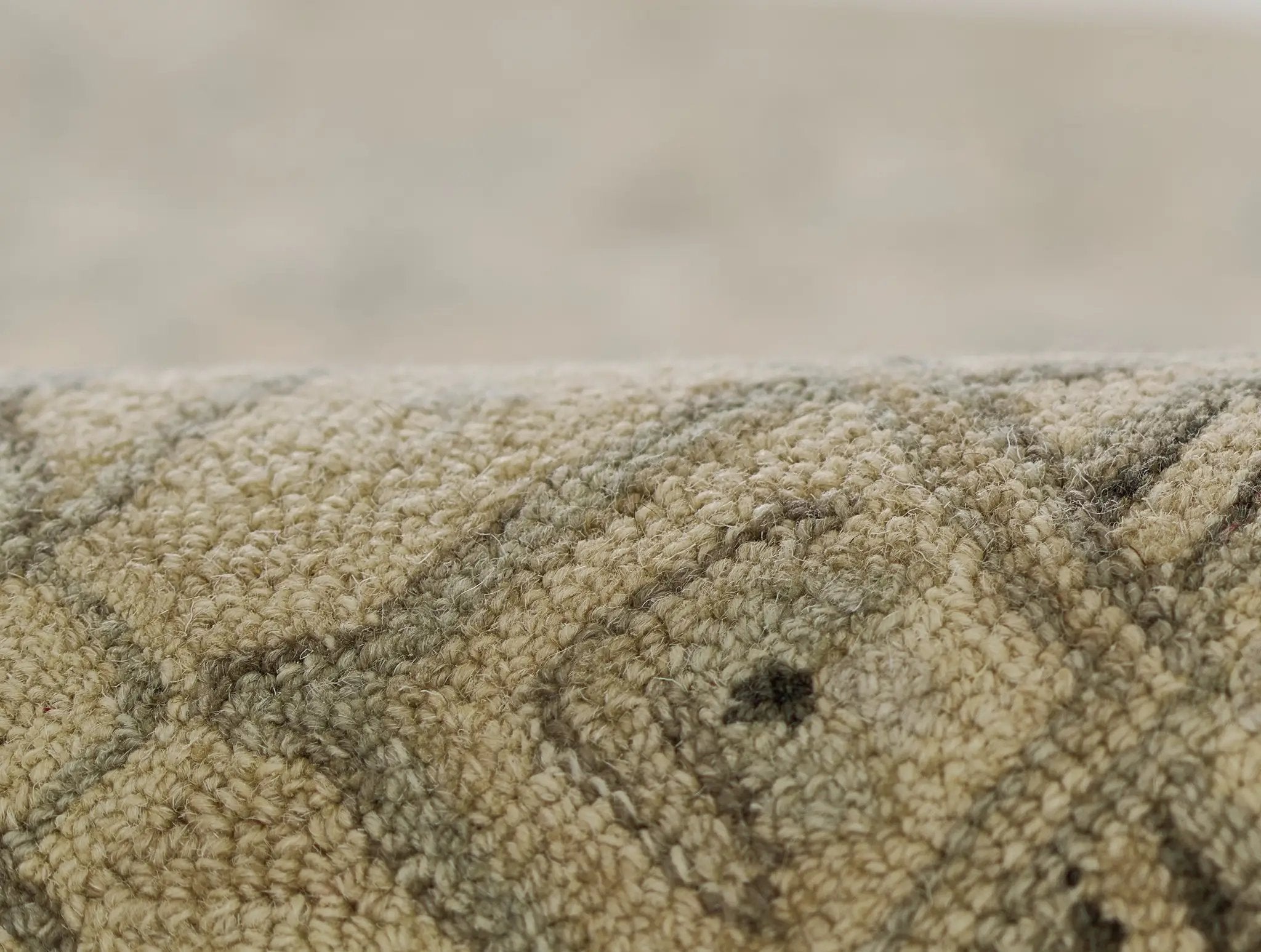 Pasha PSH-1 Taupe Area Rug by Momeni