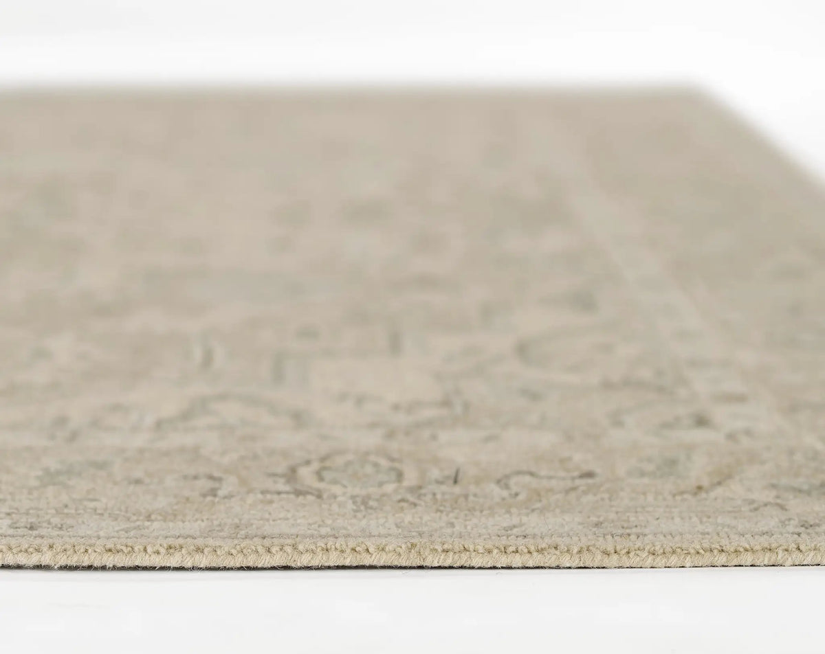 Pasha PSH-1 Taupe Area Rug by Momeni