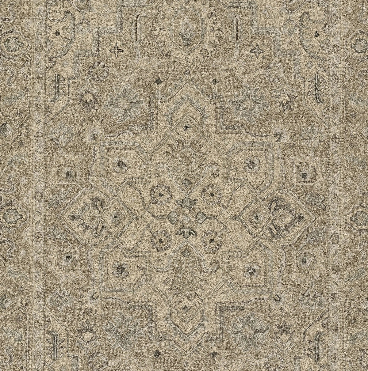 Pasha PSH-1 Taupe Area Rug by Momeni