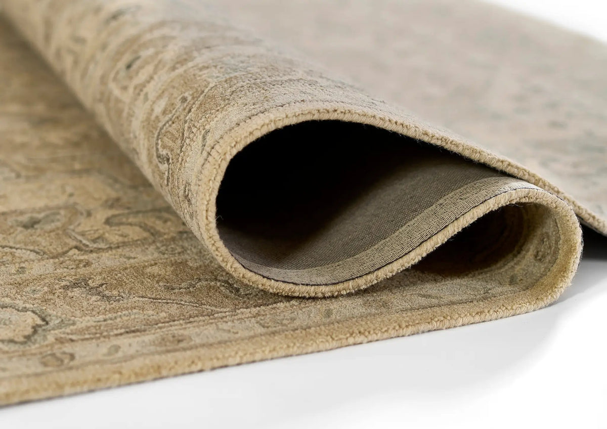 Pasha PSH-1 Taupe Area Rug by Momeni