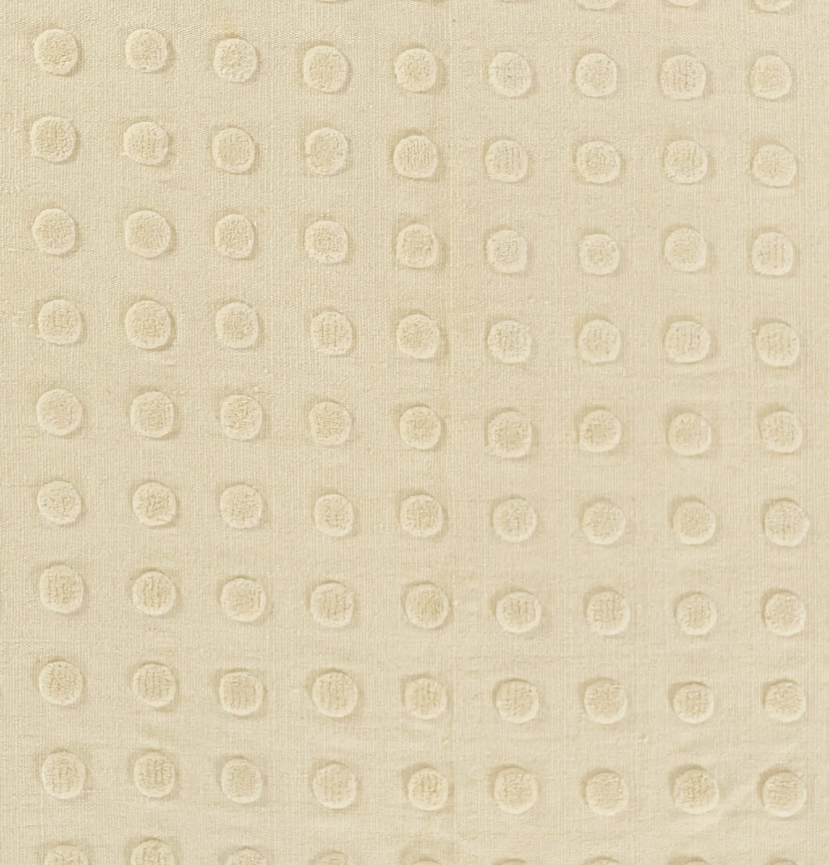 Patara PAT-1 Cream Area Rug by Pure Salt by Momeni
